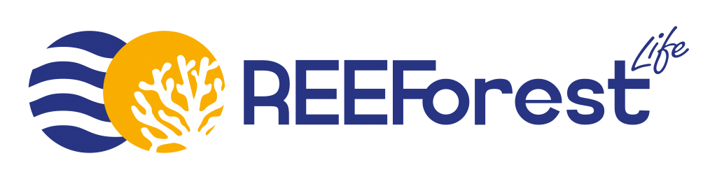 REEForest project logo