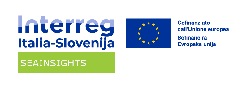 SeaInsight project logo