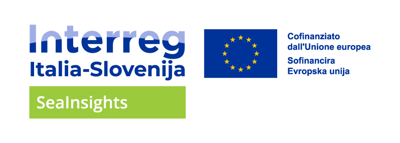 Logo SeaInsighs ITA SLO