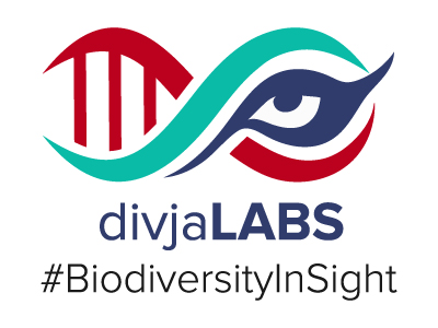 Divja Labs logo